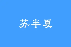 苏半夏