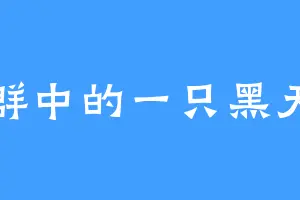 人群中的一只黑天鹅