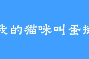 我的猫咪叫蛋挞