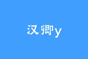汉卿y