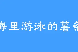 海里游泳的薯条