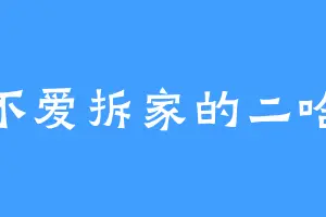不爱拆家的二哈
