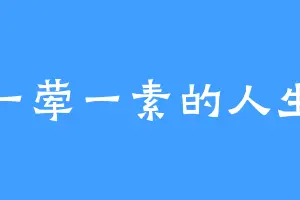 一荤一素的人生