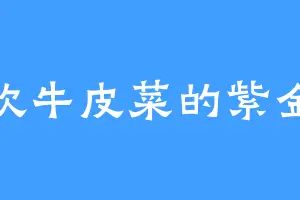 喜欢牛皮菜的紫金锤