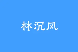 林沉风