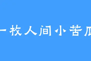一枚人间小苦瓜