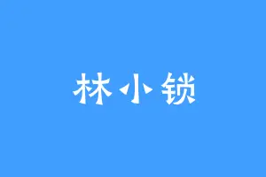 林小锁