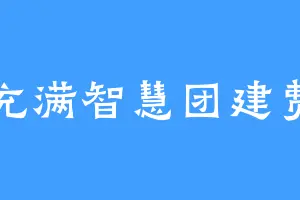 充满智慧团建费