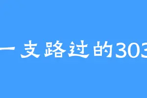 一支路过的303