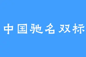 中国驰名双标