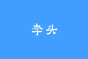 李头