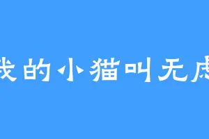 我的小猫叫无虑