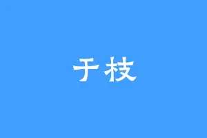 于枝