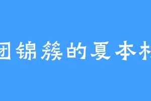 花团锦簇的夏本杉人