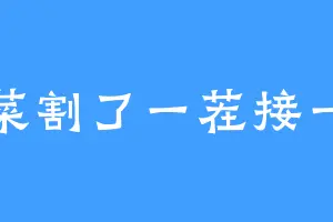 韭菜割了一茬接一茬