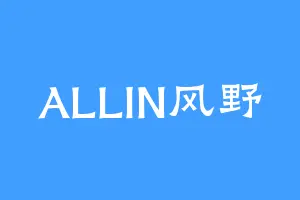 ALLIN风野