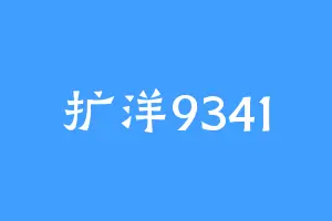 扩洋9341