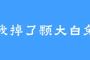 我掉了颗大白兔