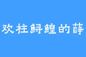 喜欢柱鲟鳇的薛琳