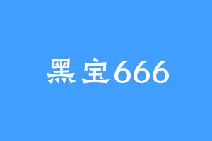 黑宝666