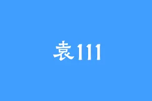 袁111