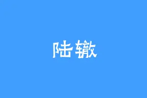 陆辙