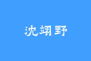 沈翊野