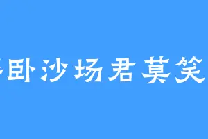 醉卧沙场君莫笑灬