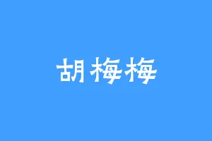 胡梅梅
