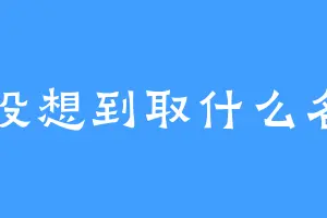 没想到取什么名