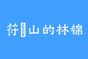 符箓山的林锦