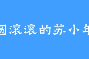 圆滚滚的苏小年