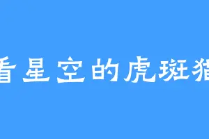 看星空的虎斑猫