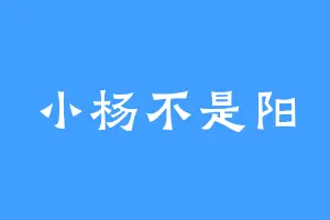 小杨不是阳