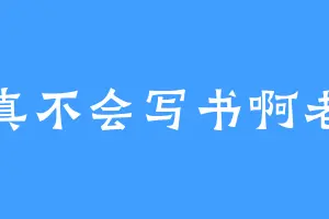我真不会写书啊老大