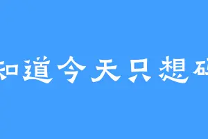 不知道今天只想码字