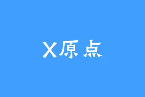 X原点