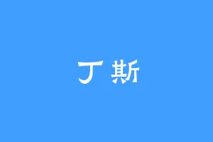 丁斯