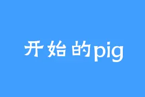 开始的pig