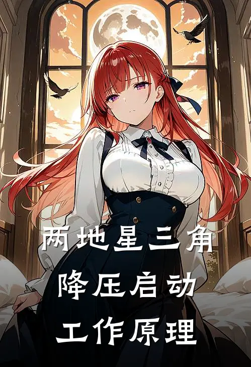 两地星三角降压启动工作原理