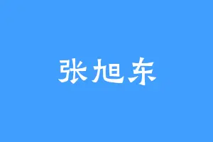 张旭东