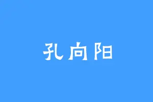 孔向阳