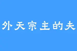 天外天宗主的夫人