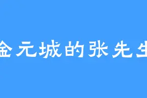 金元城的张先生