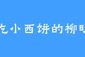 爱吃小西饼的柳明轻