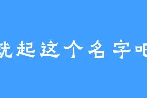 就起这个名字吧