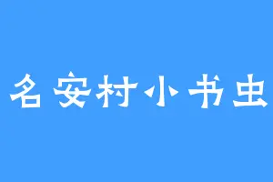 名安村小书虫
