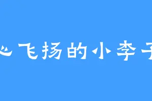 心飞扬的小李子