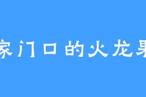 家门口的火龙果