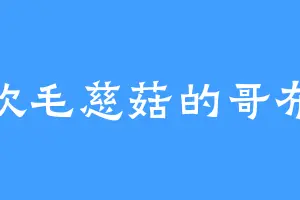 喜欢毛慈菇的哥布林